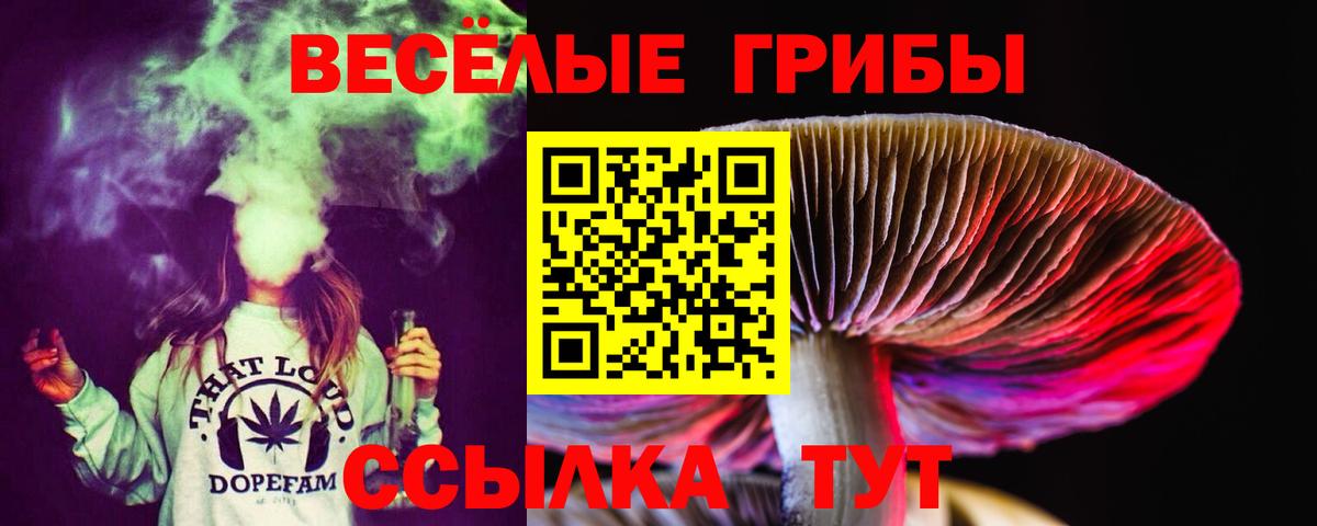 Кузнецк  Галлюциногенные грибы мухоморы  Вход с VPN 
